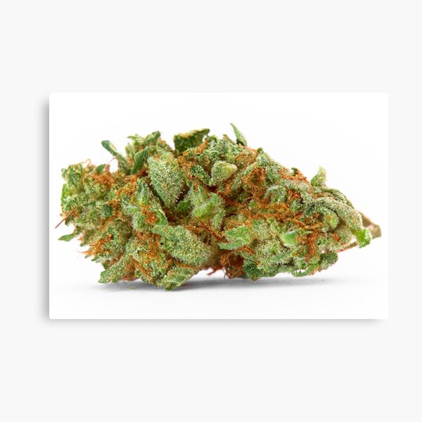 Space Queen Marijuana Canvas Print