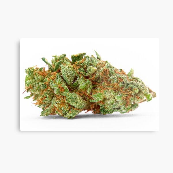 Space Queen Marijuana Metal Print