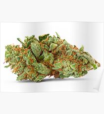 Space Queen Marijuana Poster