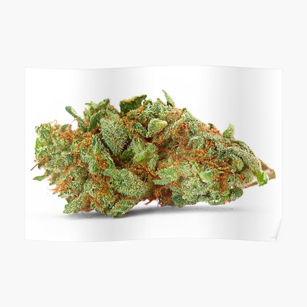Space Queen Marijuana Poster