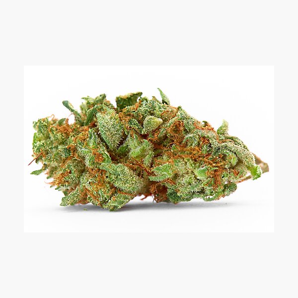 Space Queen Marijuana Photographic Print