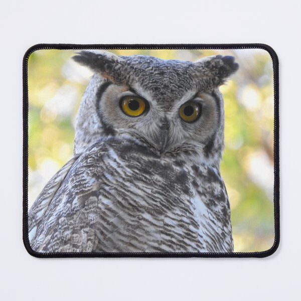 Item preview, owl of wisdom horned owl designed and sold by Stephanie Skeem.