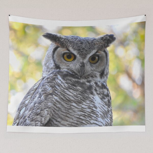 Item preview, owl of wisdom horned owl designed and sold by Stephanie  Skeem.