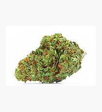 Space Queen Marijuana Photographic Print