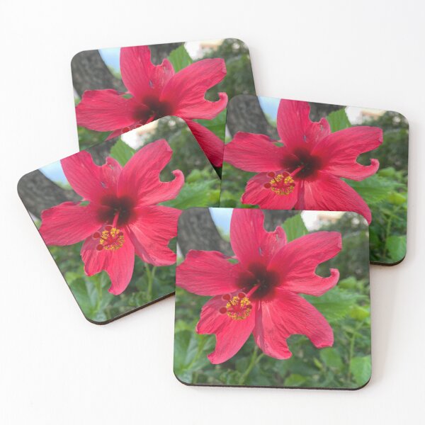 Item preview, Single Red China Rose designed and sold by Sinemathk.
