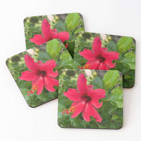 Item preview, Single Red China Rose designed and sold by Sinemathk.