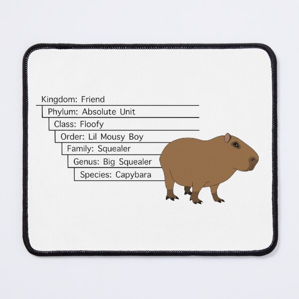 Item preview, Capybara Classification designed and sold by PoeTatoes.