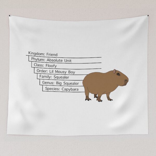 Aperçu de l'œuvre Classification des Capybaras créée et vendue par PoeTatoes.