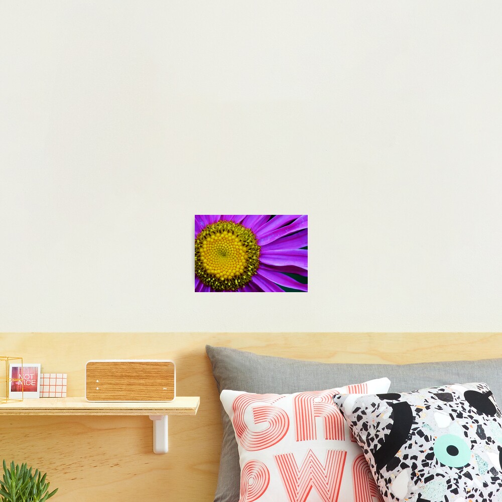 Item preview, Photographic Print designed and sold by DavidROMAN.