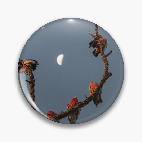 Item preview, Galahs at Dusk designed and sold by Kate Powick.