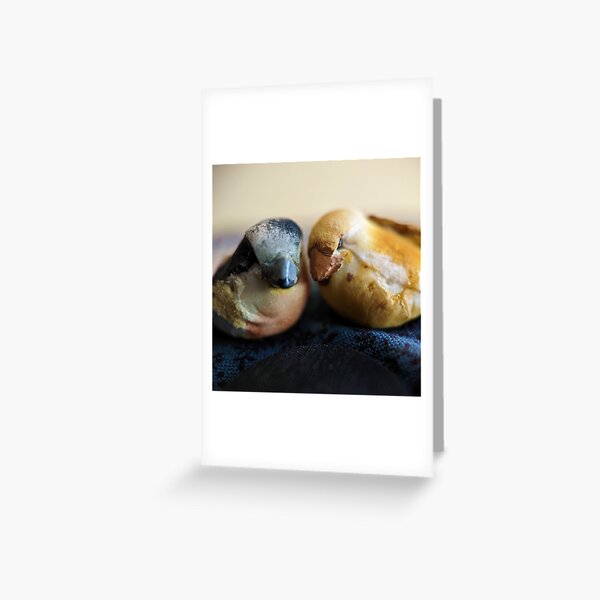 Whispering Birds Greeting Card