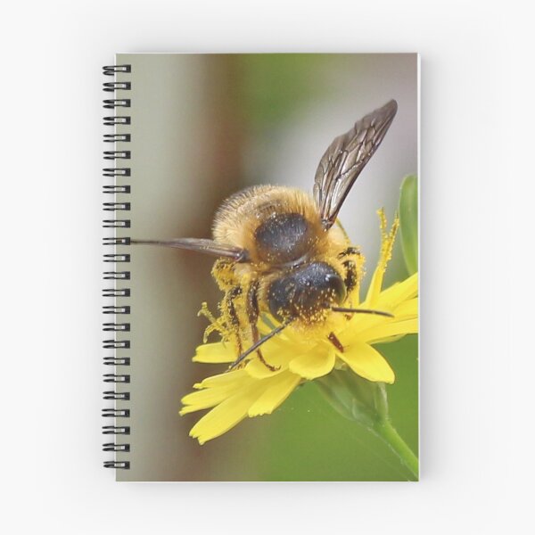 Item preview, Bee Collecting designed and sold by AnnDixon.