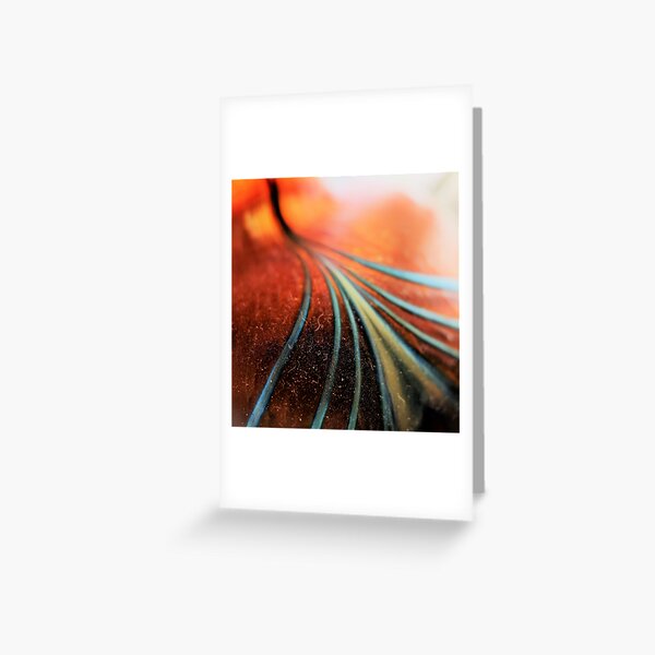 Glass Paths Greeting Card