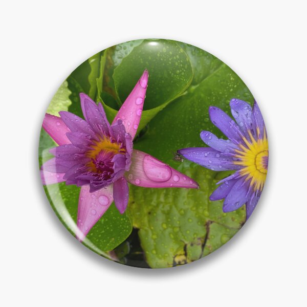 Item preview, Two Water Lily Flowers designed and sold by Sinemathk.