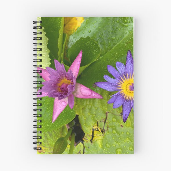 Item preview, Two Water Lily Flowers designed and sold by Sinemathk.