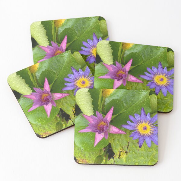 Item preview, Two Water Lily Flowers designed and sold by Sinemathk.