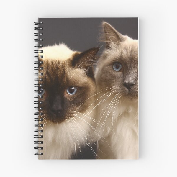 Item preview, ragdoll cats designed and sold by pawsandclaws.