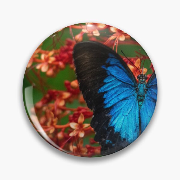 Item preview, Ulysses Butterfly designed and sold by Kate Powick.