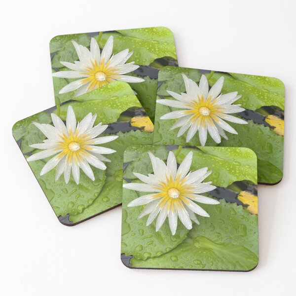 Item preview, Single White Water Lily Flower designed and sold by Sinemathk.