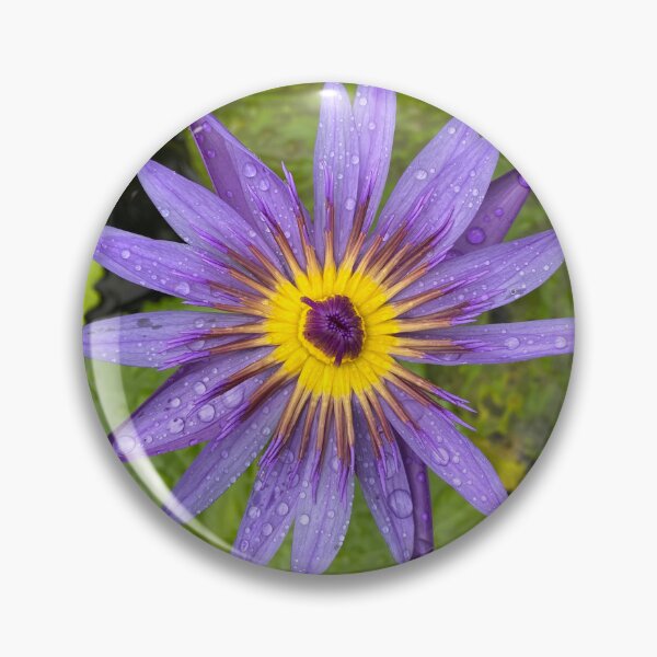 Item preview, Single Blue Water Lily Flower designed and sold by Sinemathk.