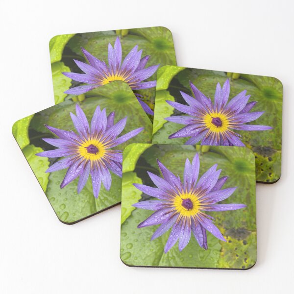 Item preview, Single Blue Water Lily Flower designed and sold by Sinemathk.