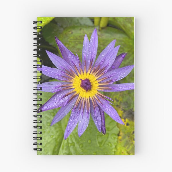 Item preview, Single Blue Water Lily Flower designed and sold by Sinemathk.