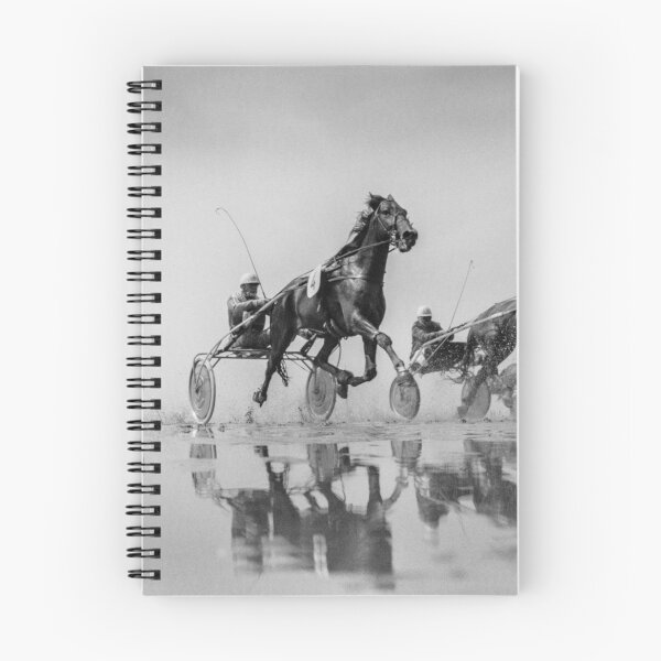 Item preview, Wadden Sea Horse Race designed and sold by Manfred Belau.