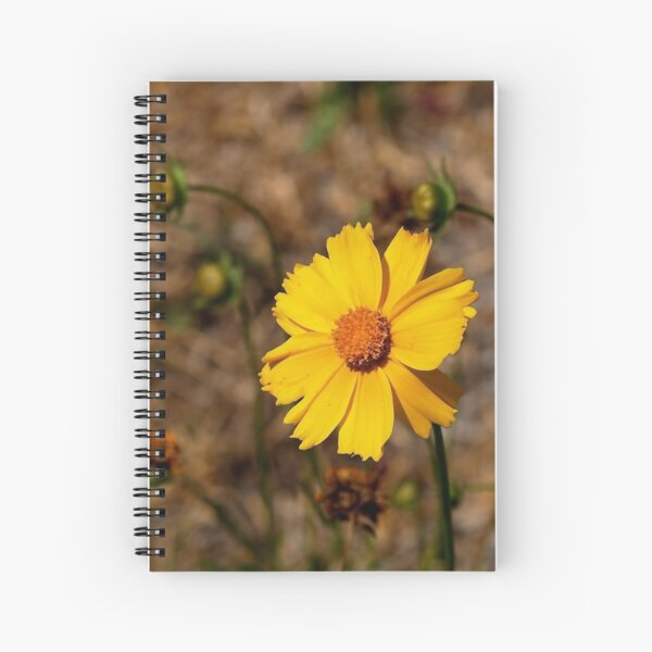 Small Sunflower in Southern California Spiral Notebook