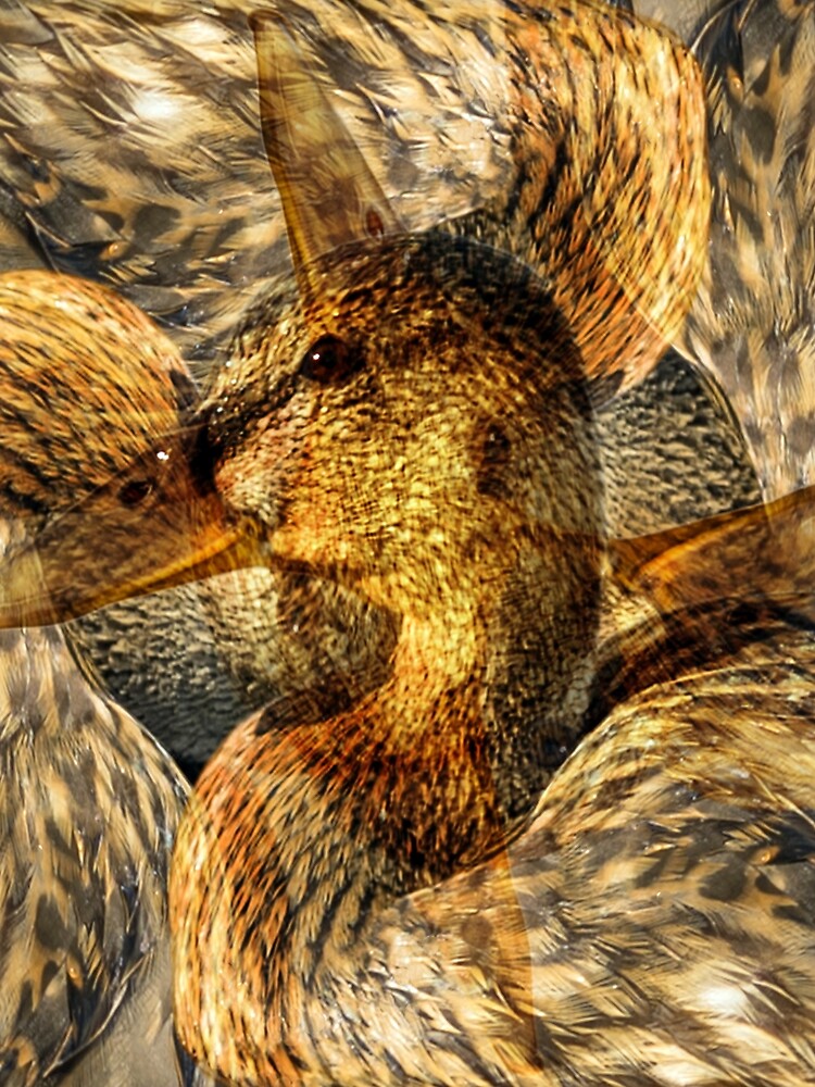 Designs Inspired By Nature: Wild Mallard by AliusImago