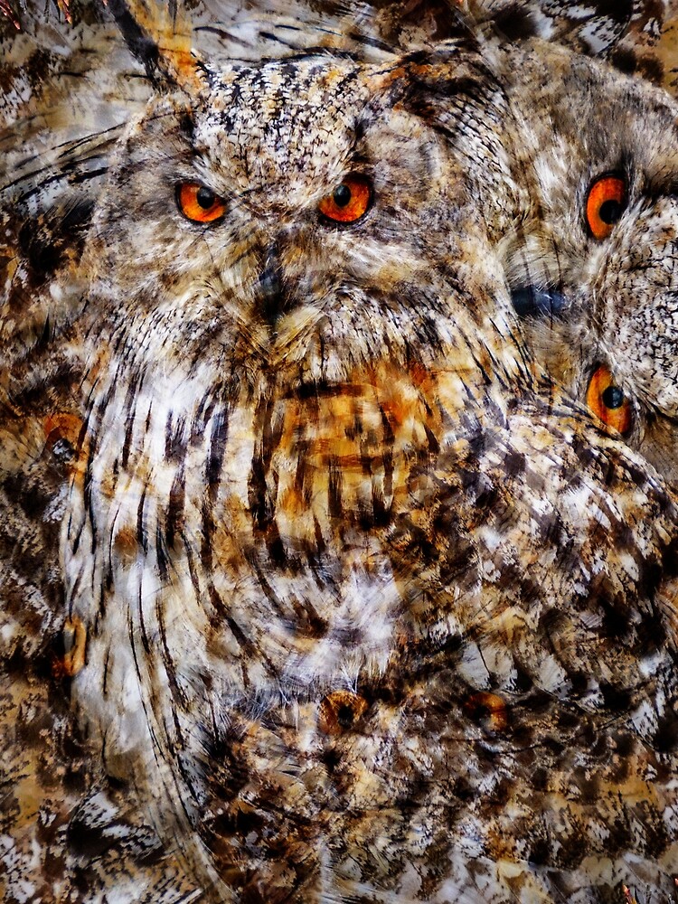 Designs Inspired By Nature: Eagle Owl by AliusImago