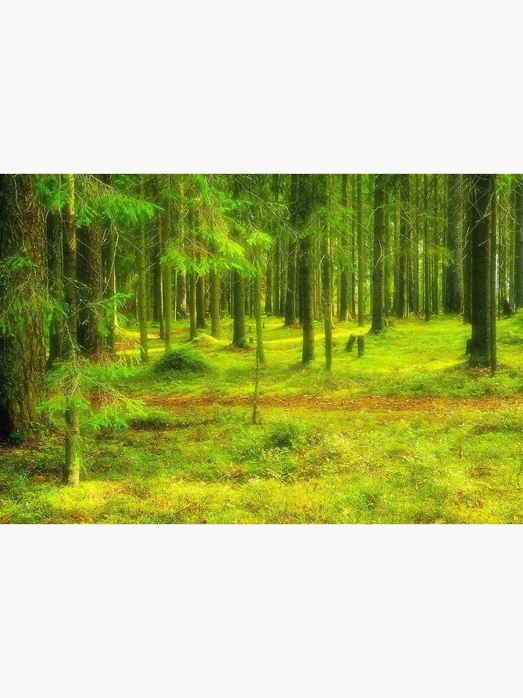 Thumbnail 3 of 3, Canvas Print, Dreamy Path designed and sold by Mallorn.