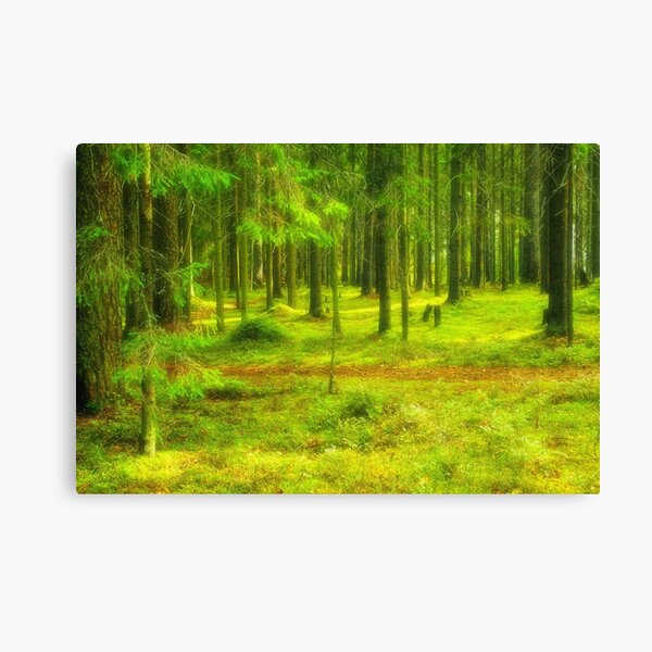 Canvas Print