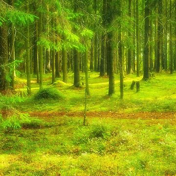 Artwork thumbnail, Dreamy Path by Mallorn