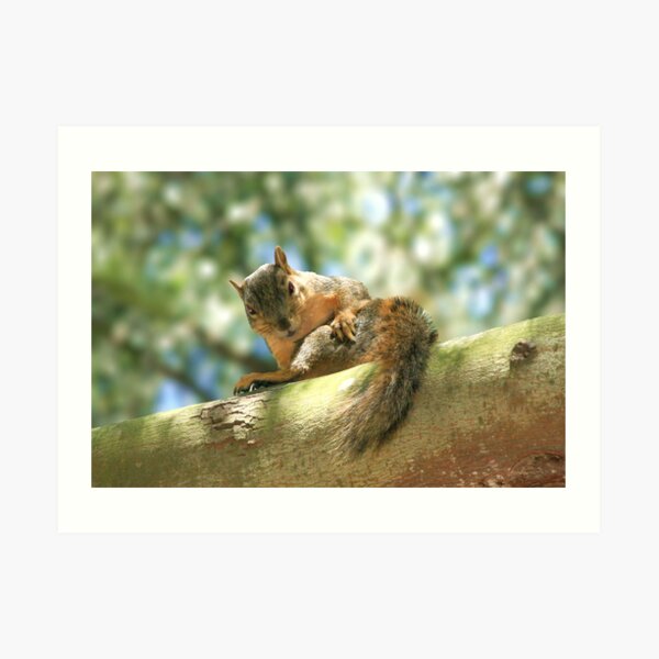 Time to clean.... Art Print