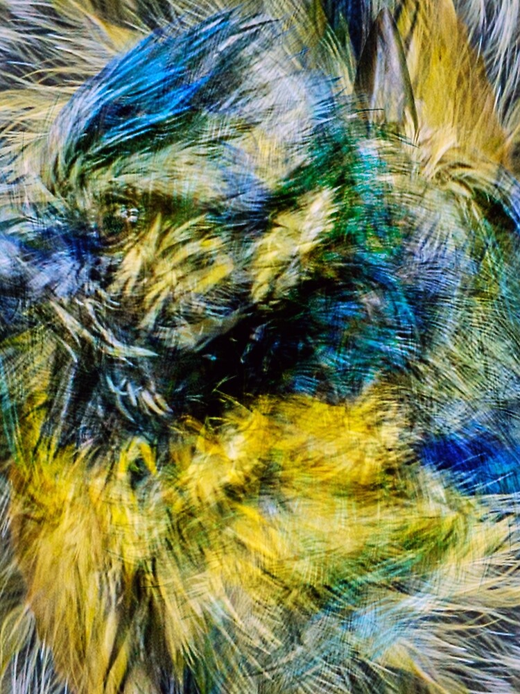 Designs Inspired By Nature: Blue Tit by AliusImago