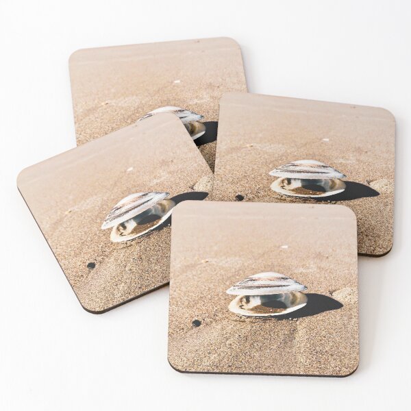 Item preview, Scarborough State Beach designed and sold by Emma Gerike.