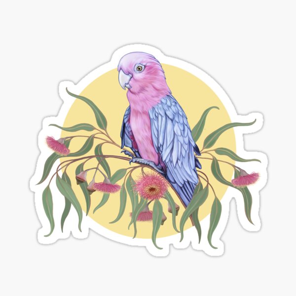 Pink and grey galah with eucalyptus flowers Sticker
