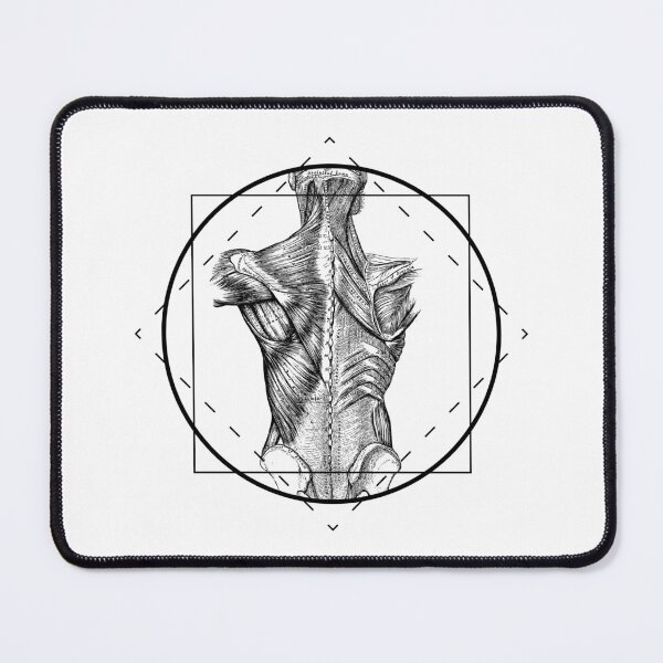 Item preview, Anatomy 101: Dorsal designed and sold by Gumless.