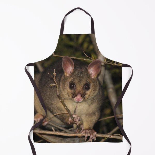 Item preview, Brushtail possum designed and sold by BlackCockiePres.