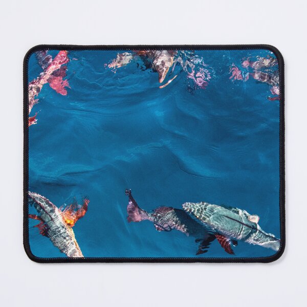 Item preview, Fish Feeding, Great Barrier Reef designed and sold by Kate Powick.