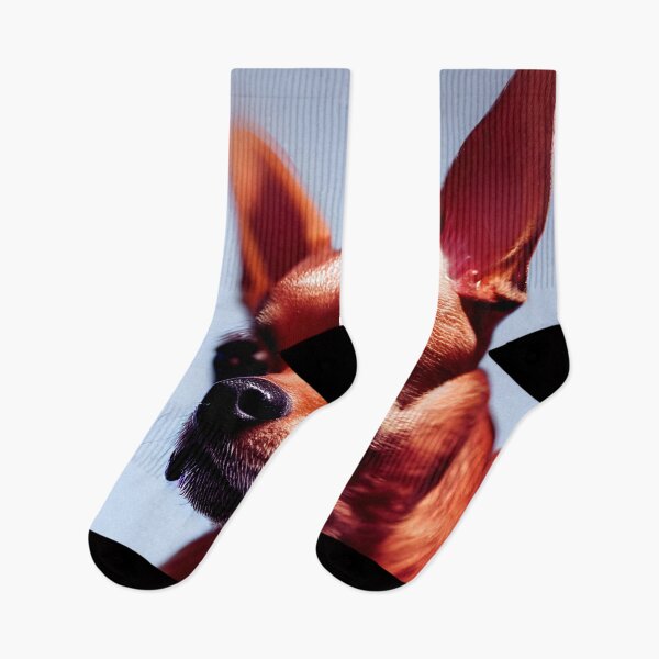 Item preview, Chihuahua cute photorealistic dog #9 designed and sold by supeart.