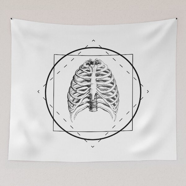 Item preview, Anatomy 101: Skeletal designed and sold by Gumless.