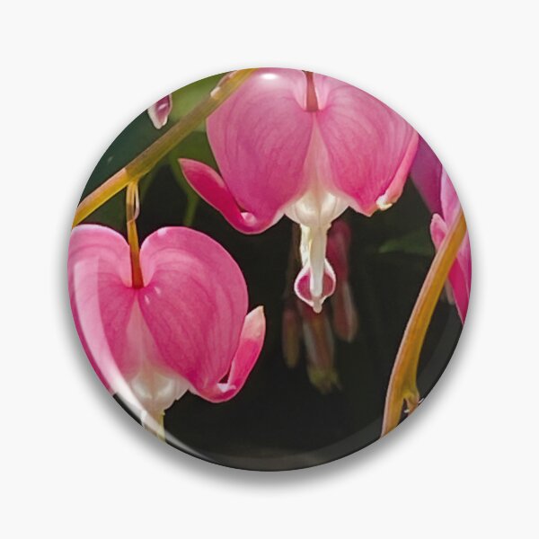 Item preview, Enchanted Botanical Bleeding Heart  designed and sold by Wolfcreek1.