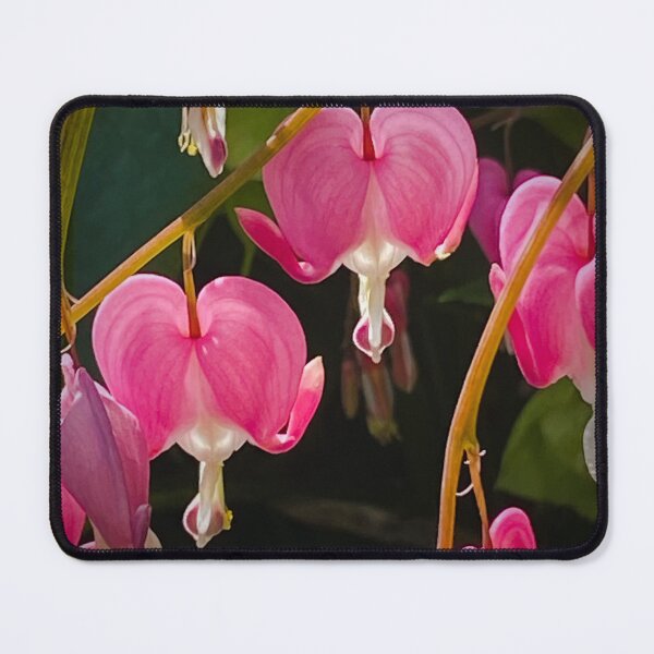 Item preview, Enchanted Botanical Bleeding Heart  designed and sold by Wolfcreek1.