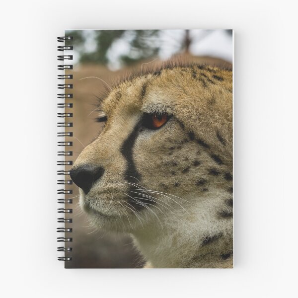 Item preview, cheetah designed and sold by Dagostino.