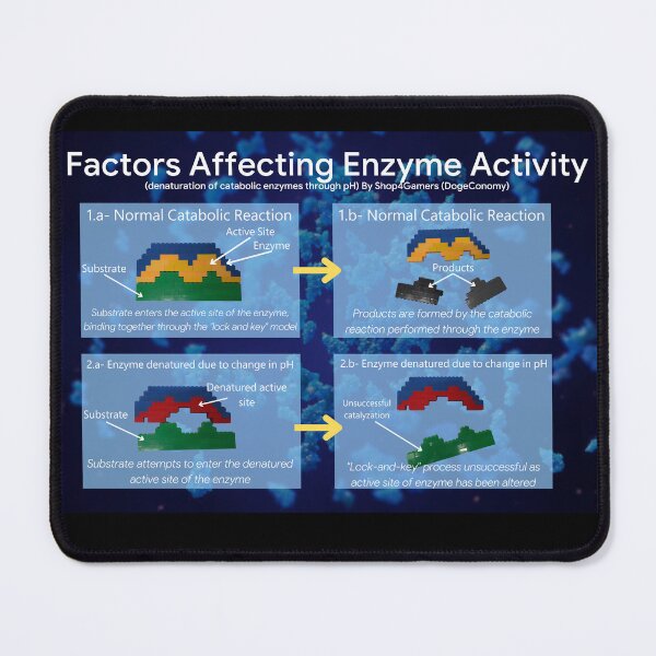 Item preview, Factors Affecting Enzyme Activity: Catabolic/Ph designed and sold by Shop4Gamers.