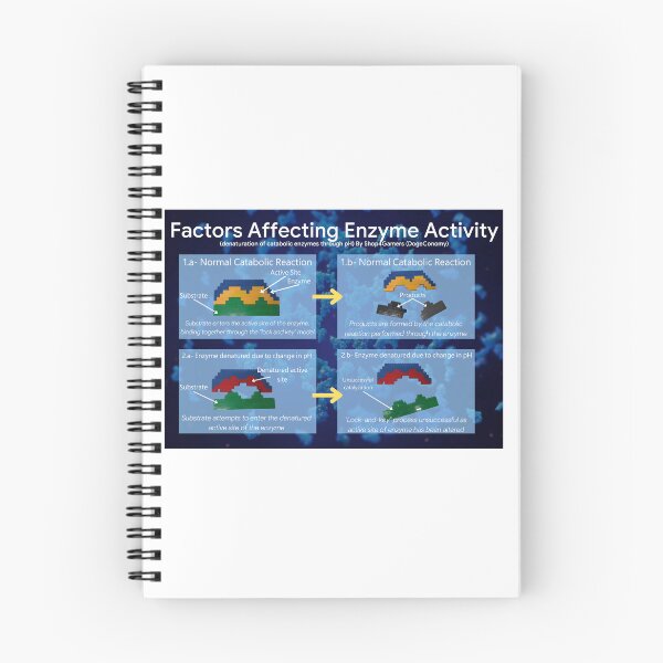 Item preview, Factors Affecting Enzyme Activity: Catabolic/Ph designed and sold by Shop4Gamers.