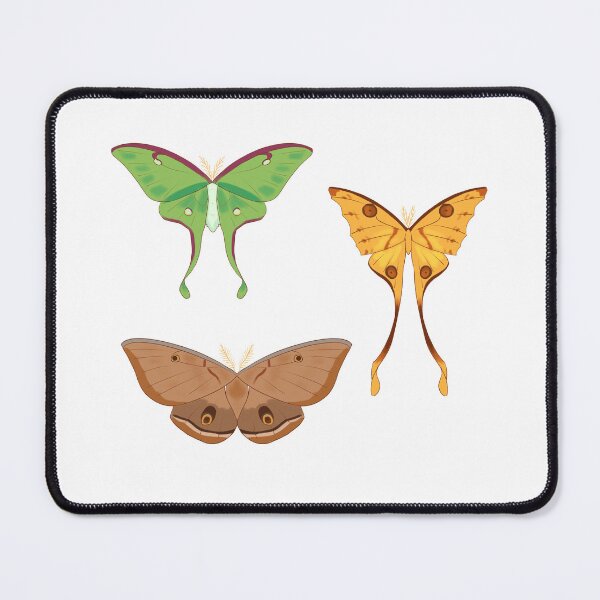Item preview, Assorted Giant Silkworm Moths designed and sold by mintiiluna.