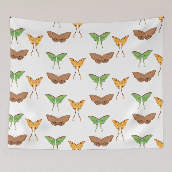 Item preview, Assorted Giant Silkworm Moths designed and sold by mintiiluna.