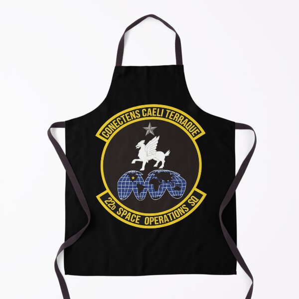 Item preview, USSF - 22d Space Operations Squadron wo Txt X 300 designed and sold by Military Insignia Products.
